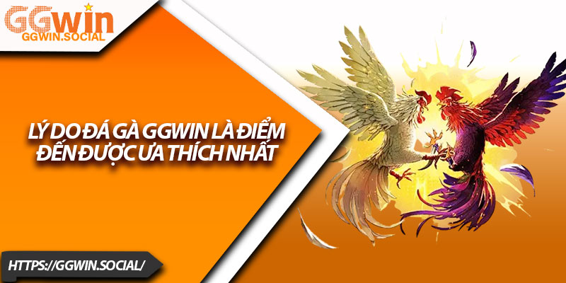 Đá Gà GGWIN – Nơi Hội Tụ Dân Chơi Gà Chuyên Nghiệp 2 Lý Do Đá gà GGWIN Là Điểm Đến Được ưa thích nhất