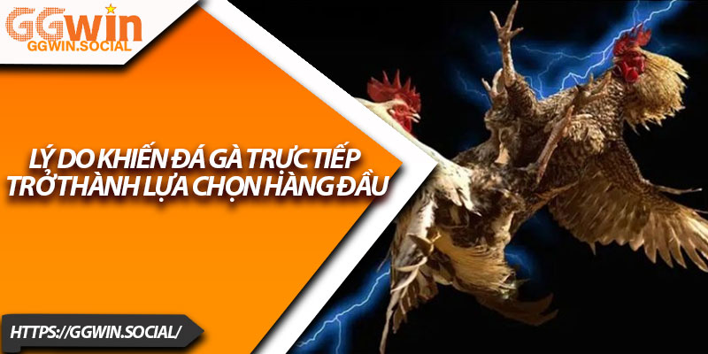 Đá Gà Trực Tiếp – Sân Chơi Cá Cược Cực Hot Hiện Nay 3 Lý do khiến đá gà trực tiếp trở thành lựa chọn hàng đầu